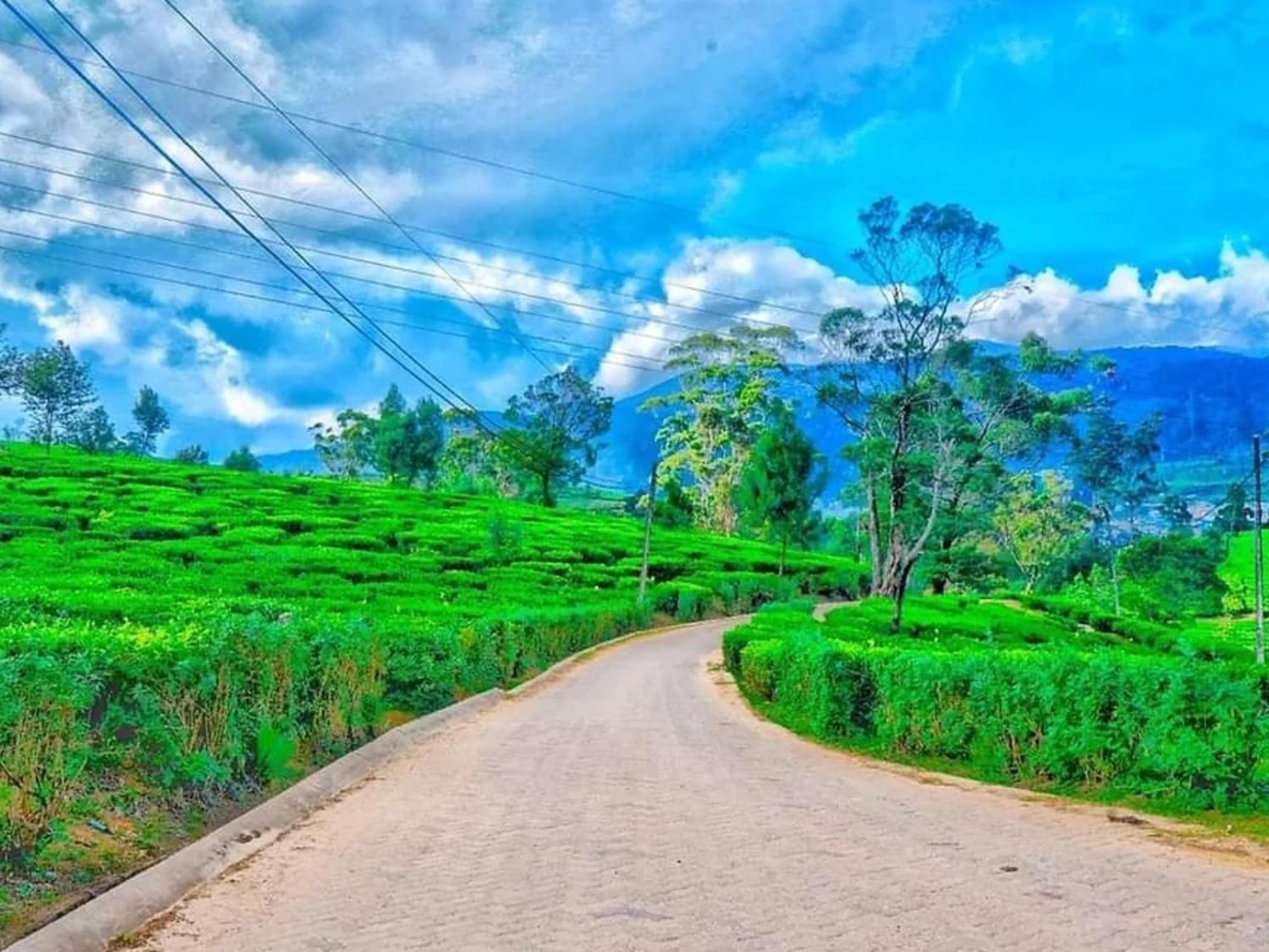 Stoney Croft Cottage Nuwara Eliya Ngoại thất bức ảnh