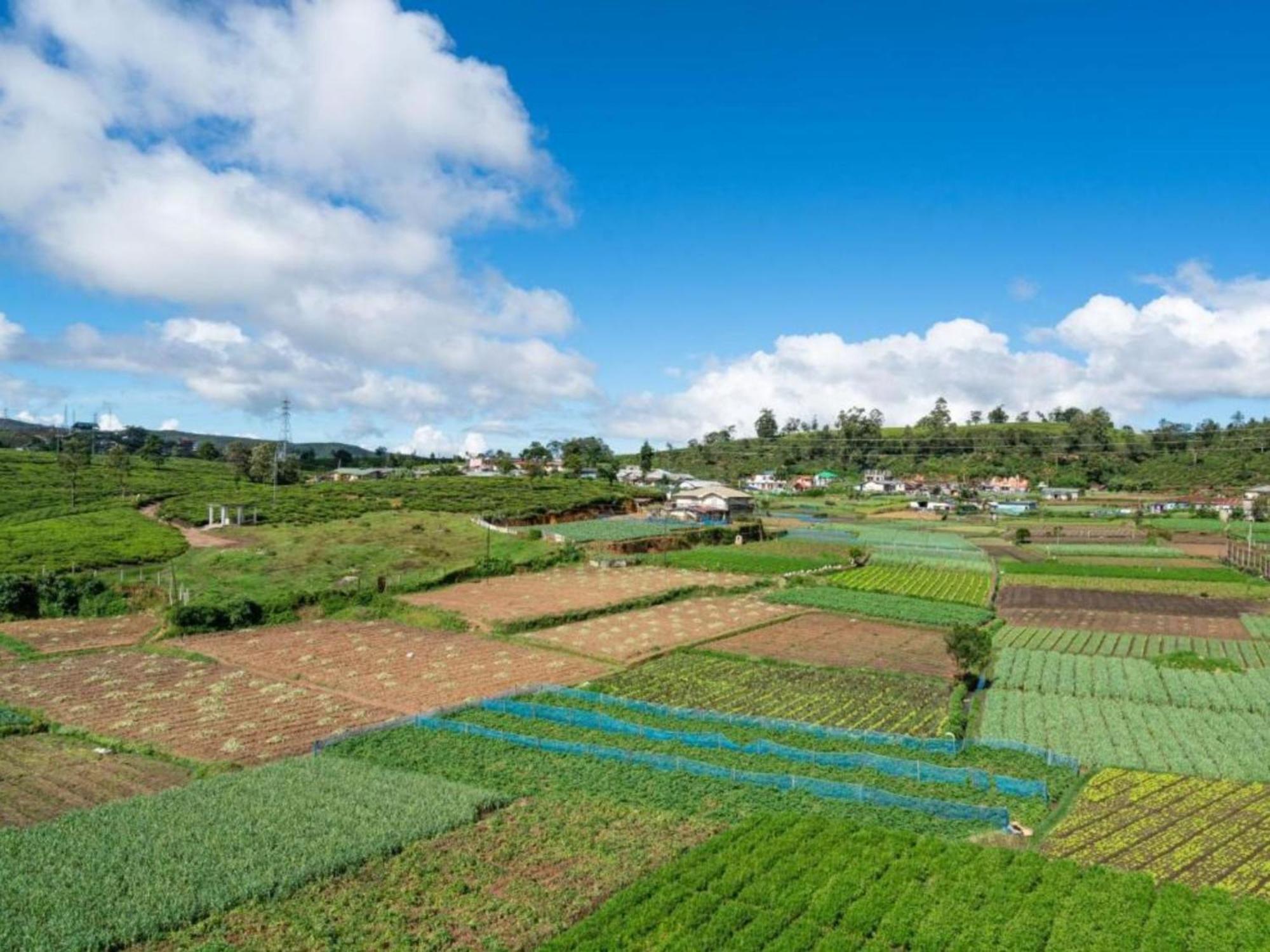 Stoney Croft Cottage Nuwara Eliya Ngoại thất bức ảnh